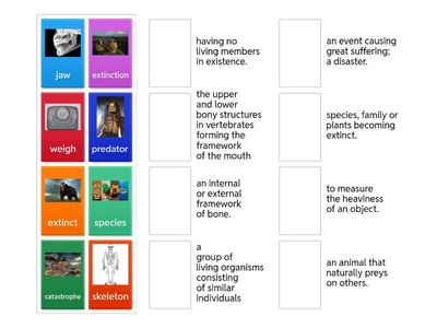 Teens B2.3 -UNIT 5 Vocabulary