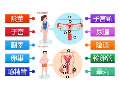 性對器官對對碰 part1