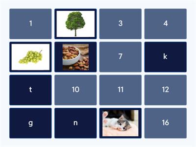 letter sound matching (various consonants)