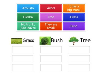 002_Grass - bush - tree