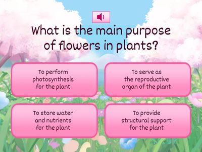 T5.1 Plant systems  - Flowers Purpose and Parts