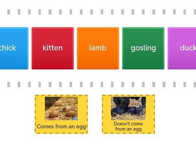 P1 - Where do they come from?