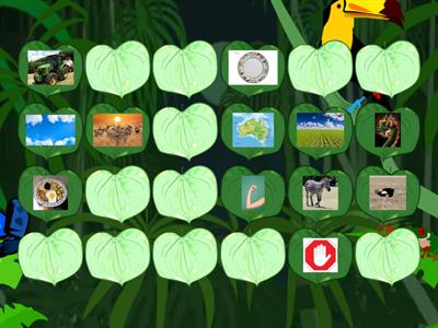 Grupo Consontal com R