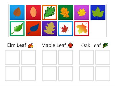 Leaf Sorting