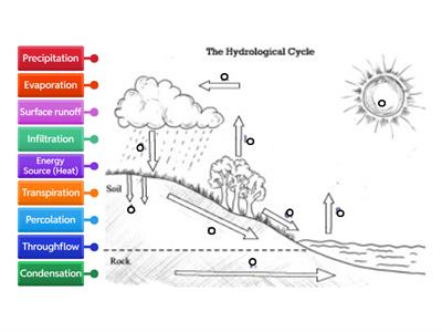 Water Cycle