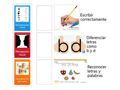 Capacidades del cerebro: Habilidades perceptivo-motrices de la lectura y escritura