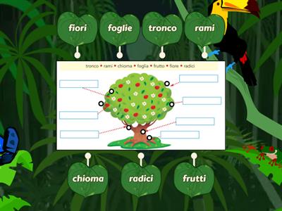 LE PARTI DI UN ALBERO