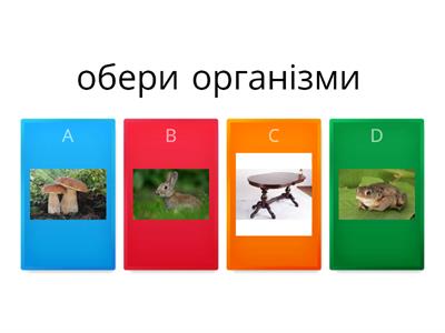 ЯДС 3 клас