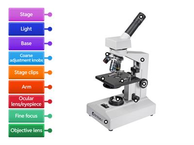 Label a microscope 