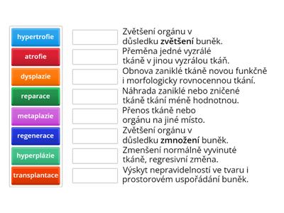 Progresivní změny - patologie