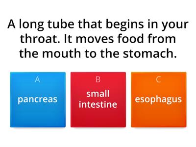 Digestive System-Unit 3-lesson5.Focus