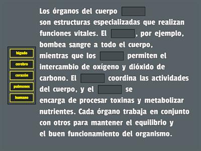 ORGANOS DEL CUERPO HUMANO