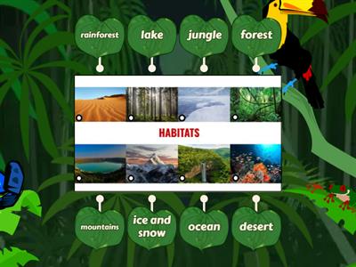 BE3 Unit 4: Habitats