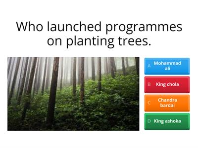 History of forest in India 