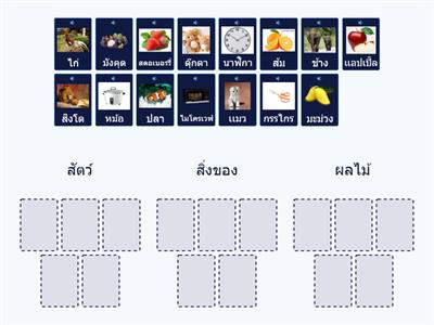 กิจกรรมที่ 2 จัดกลุ่มเเบ่งชนิด การเเก้ปัญหาเเบบมีเงื่อนไข