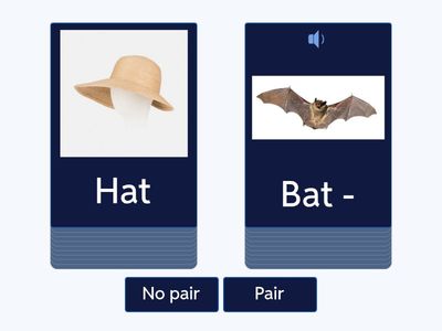  Rhyming vocabulary for pre-entry ESOL