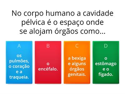  Níveis estruturais e composição do corpo humano 