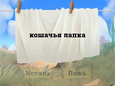 Правда или ложь (разделительный Ь)