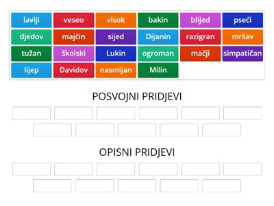 Opisni i posvojni pridjevi