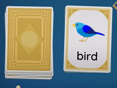 KB Starter. Unit 7. My animals.