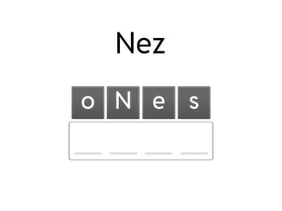 Les parties du corps en anglais - à l'écrit