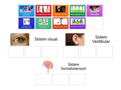 Sistem Deria Kemahiran Motor