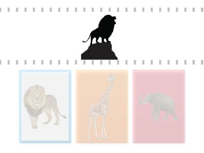 Găsește perechea potrivită!