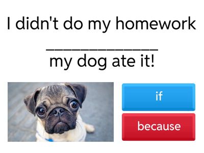 Subordinating Conjunctions