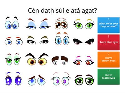 Revision Wk4- - Cén dath súile atá agat?