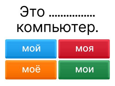 Притяжательные местоимения МОЙ МОЯ МОЁ МОИ