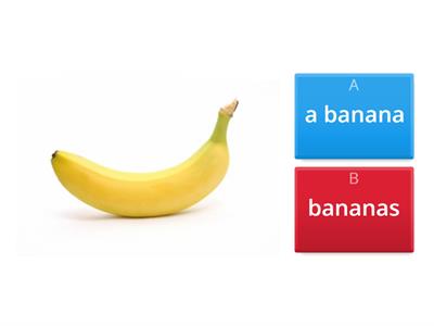 Singular and plural forms