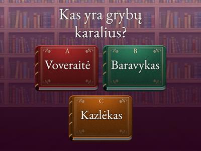 Grybai-rudens karaliai