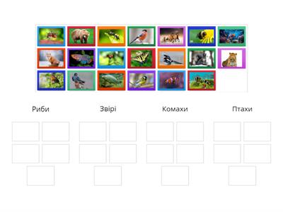 Різноманітність тварин у природі