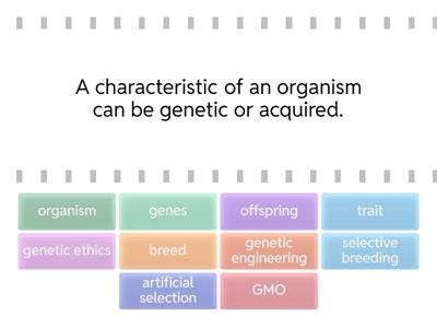 Artificial Selection