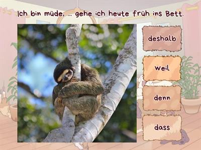  deshalb, denn, weil, dass
