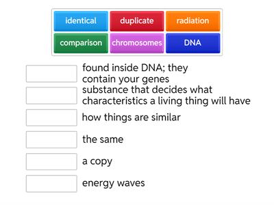 Twins in Space Vocabulary