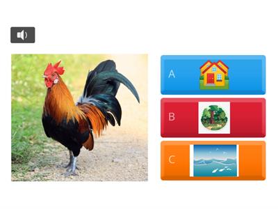 Nhóm chơi nhà trẻ mầm non