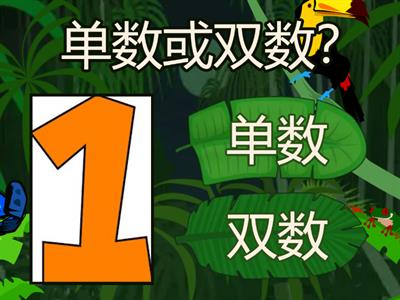 单数或双数？