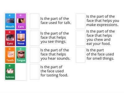 Parts of the face