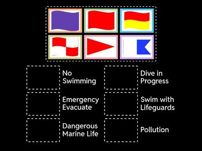Beach Warning Flags