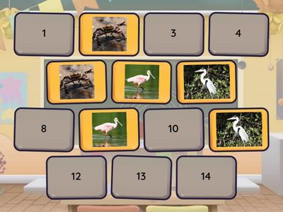 Fauna_Manguezal Vivo