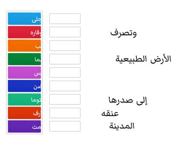  مفردات حوت على الشاطئ