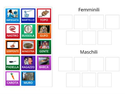 GRAMMATICA: NOMI FEMMINILI O MASCHILI