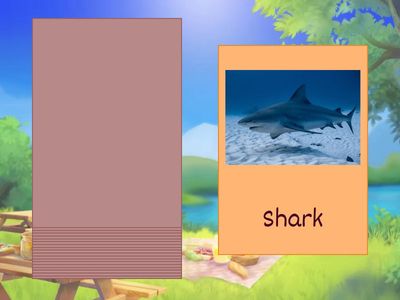 Classify vertebrate and invertebrate animals