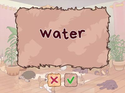 food containers English Class a1+