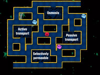 Cell Transport 2