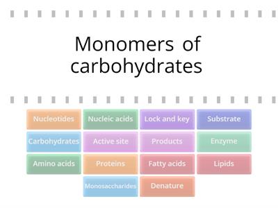 Biology Unit 2 Review