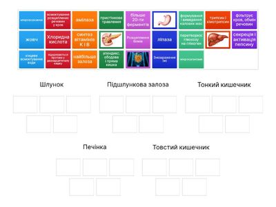 Травлення в шлунку і кишечнику