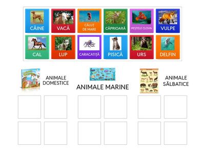 Animale marine/ sălbatice/ domestice UNEȘTE FIECARE IMAGINE REPREZENTATIVĂ