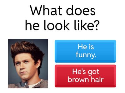 What does he look like?/ What is he like?